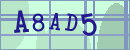 verification image